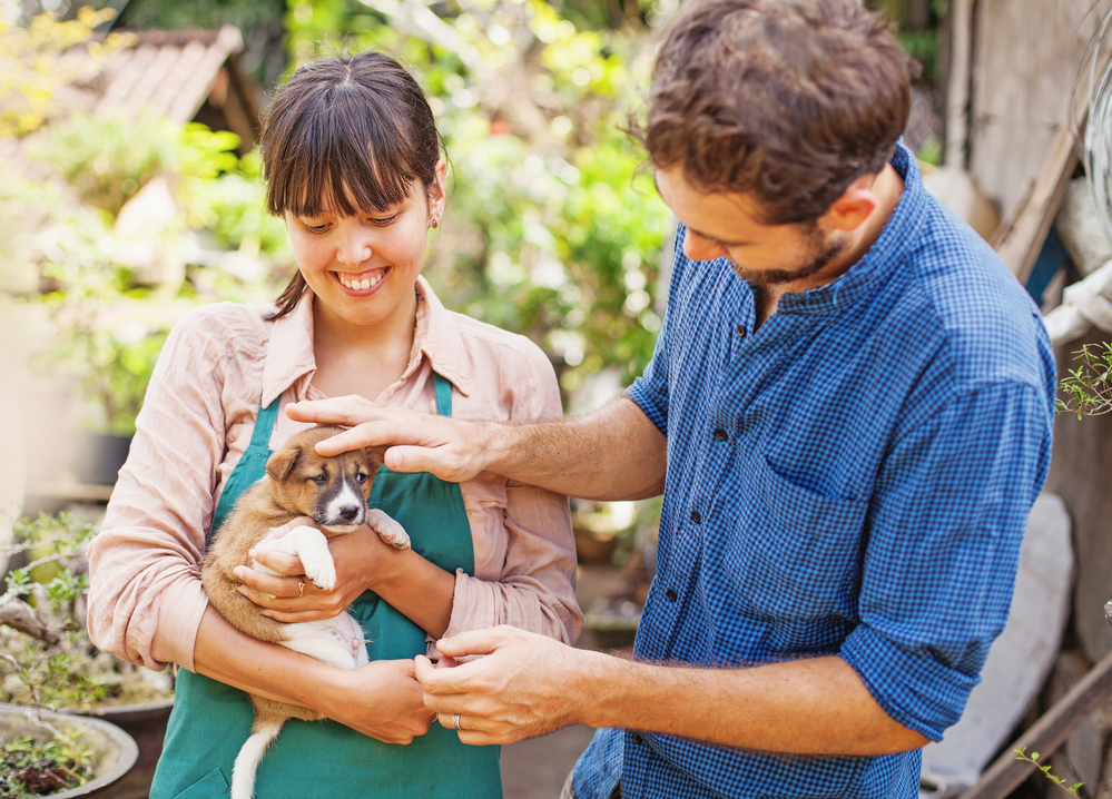 how-long-do-animal-shelters-keep-animals-before-putting-them-to-sleep